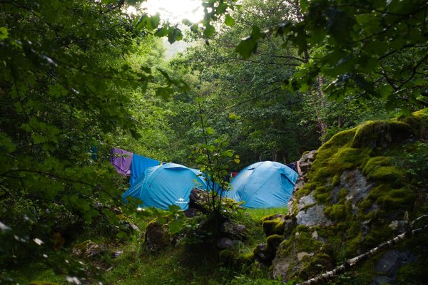 Évasion nature : camping la rivière dorée en seine-et-marne
