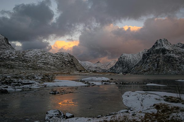 Les navires de la flotte Royal Caribbean : un tour d'horizon